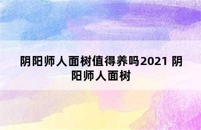 阴阳师人面树值得养吗2021 阴阳师人面树